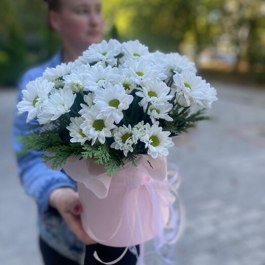 Ромашки