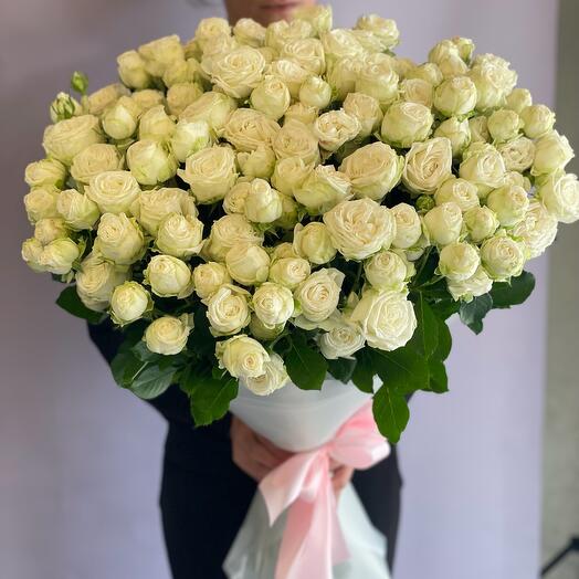 Peony-shaped Roses WHITE MISS XL