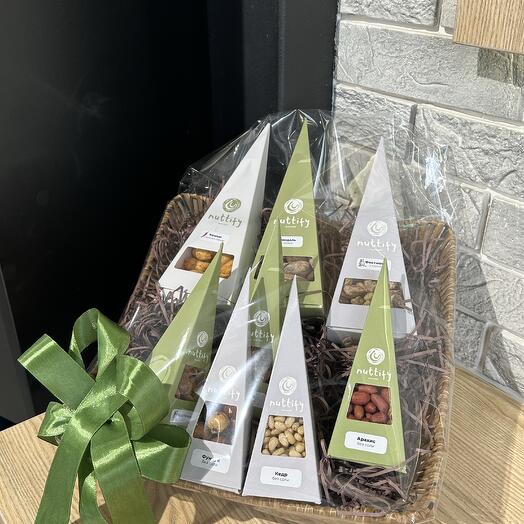 Set of nuts in cones