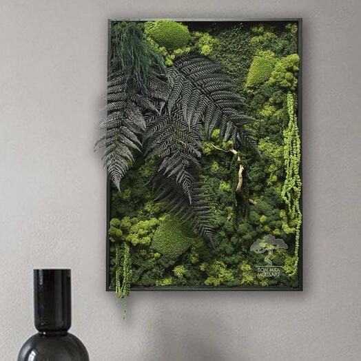 Картина из мха  "Jungle Dark" в подарочной упаковке. 50*70 см. Графит