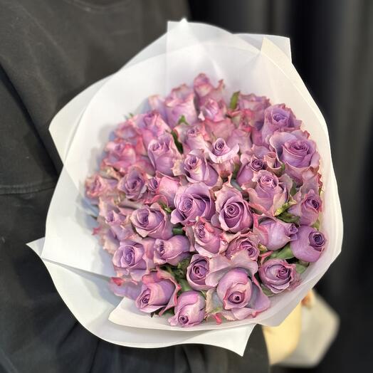 Rosa lila 35