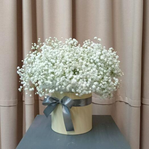 Композиция из гипсофил "Мягкость"