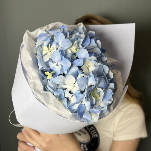 Голубая гортензия 💙ХИТ 💙 день семьи