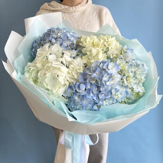 Ramo"nube Azul"