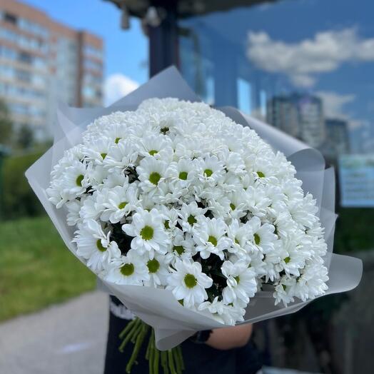Букет из 25 хризантем ромашкой
