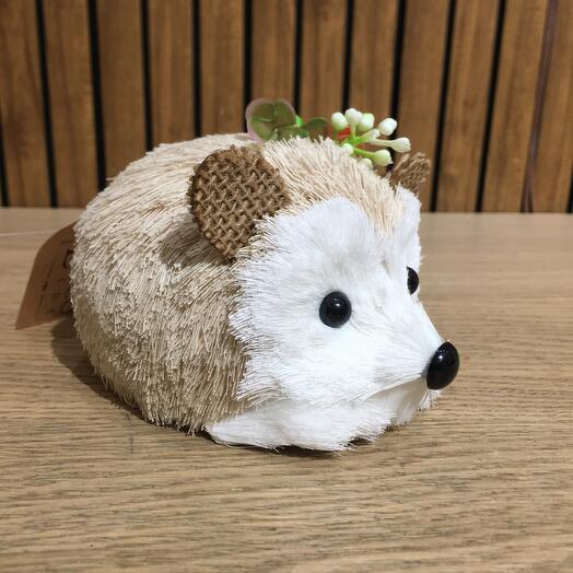 Ёжик Егор