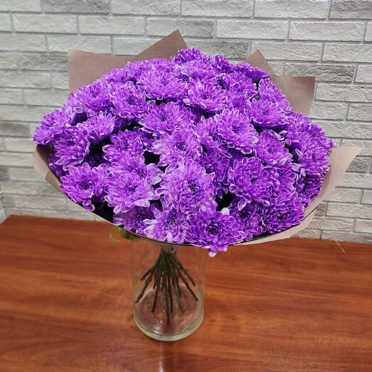15 фиолетовых ярких кустовых хризантем
