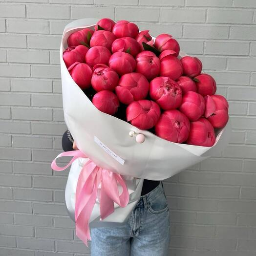 Пионы коралловые 25шт