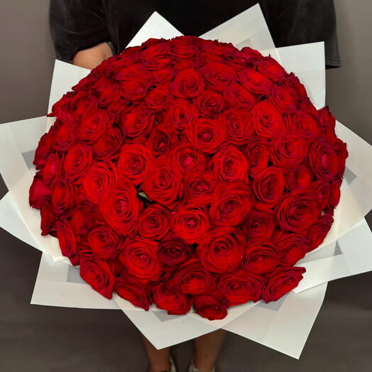 101 Красная Роза 🌹