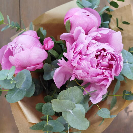 Peonia