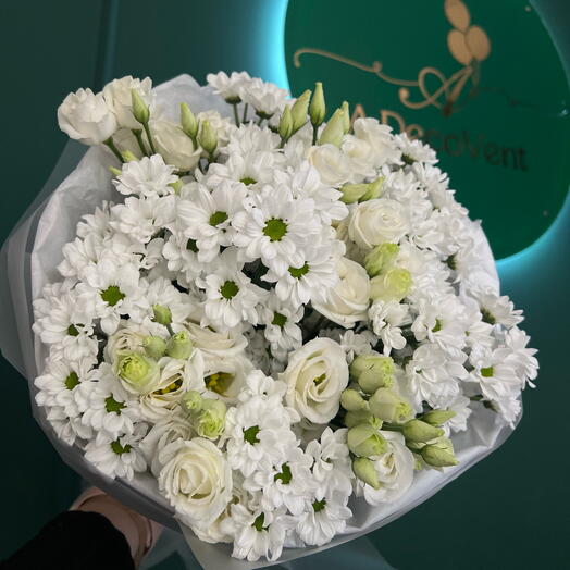 Chrysanthemum m size