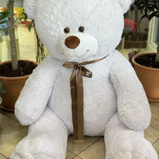 Oso gigante