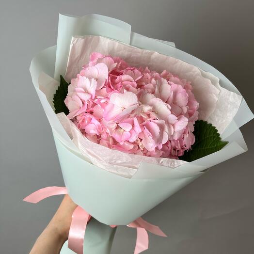 Гортензия💘