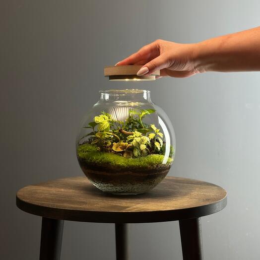 Флорариум Jungle LUX с подсветкой