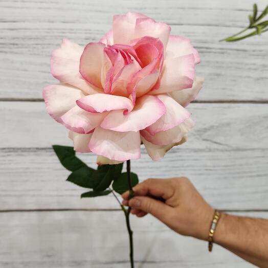 Французская роза