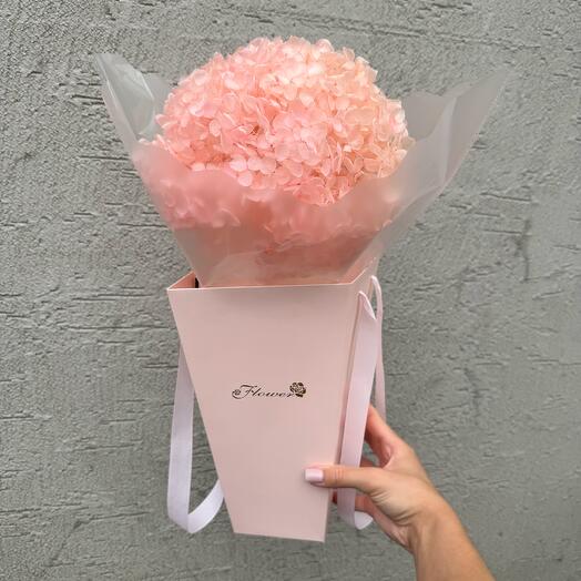 Стабилизированная гортензия в подарочной коробке персиковая