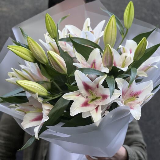Лилия 23