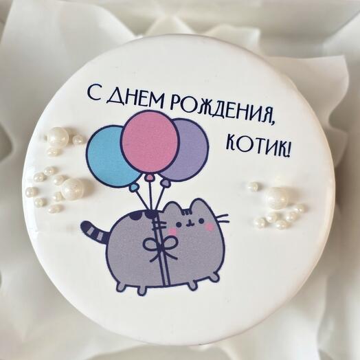 Бенто торт с котом и шариками "С Днем Рождения"
