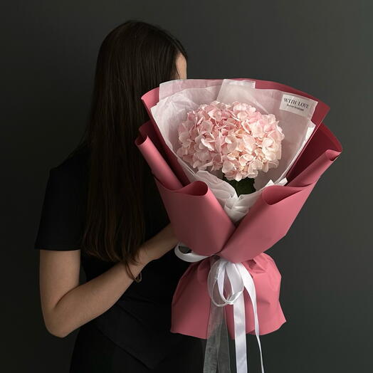 Hydrangea Pink