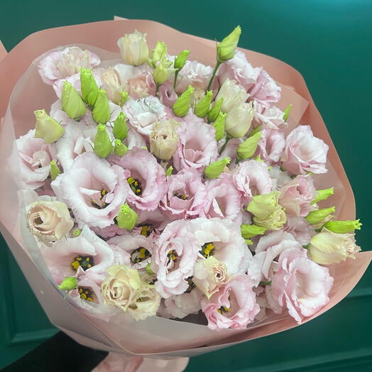 Mono eustoma