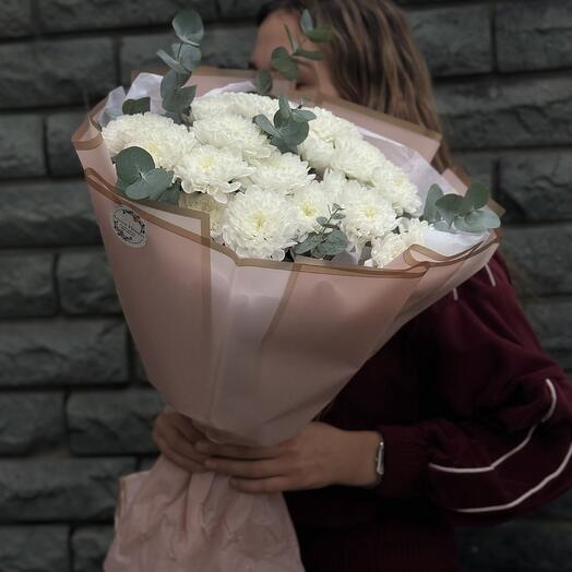 Хризантемы 21