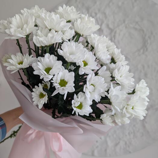 75 ромашек белых