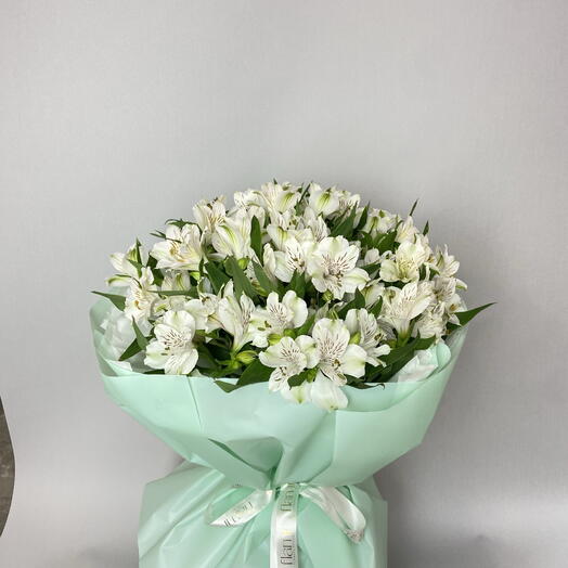 Альстромерия