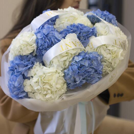 13 гортензий