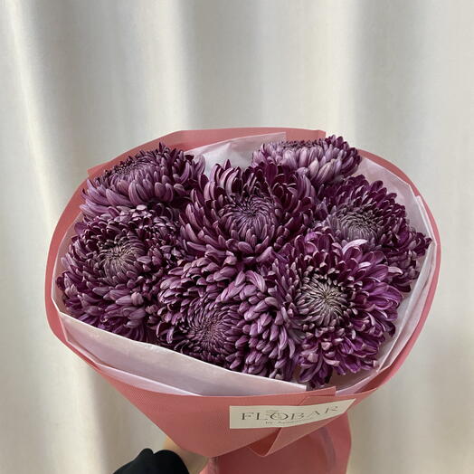 Хризантемы бигуди 7