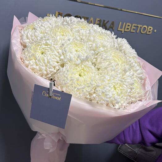 15 хризантем шаровидные