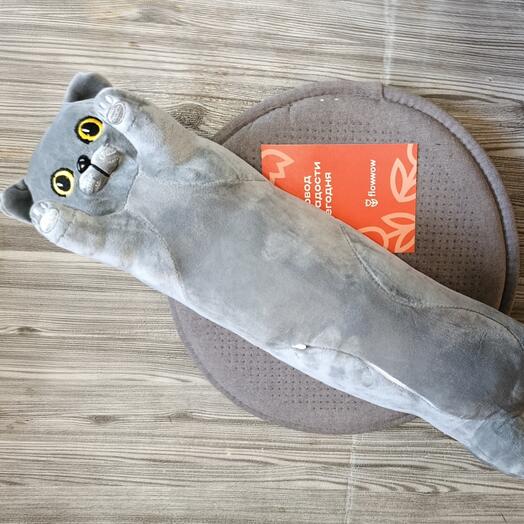 Кот подушка Британец