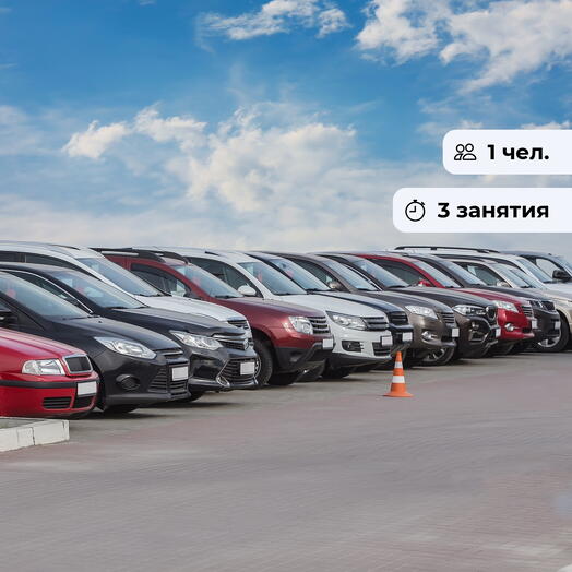 Мастер парковки.  Уроки контраварийного вождения