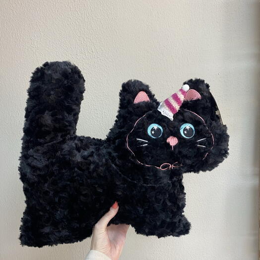 Черный котик