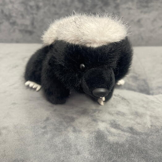 Скунс мини