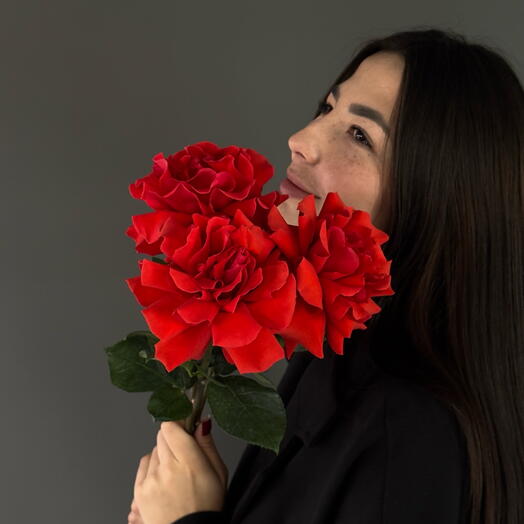 Букет комплимент из французских роз Нина