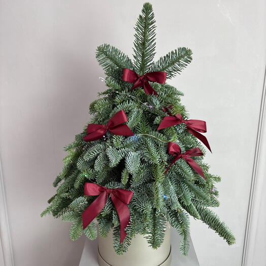 Аромат зимы