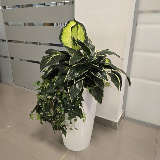 Цветочная клумба