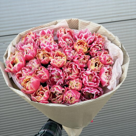 31 пионовидный тюльпан