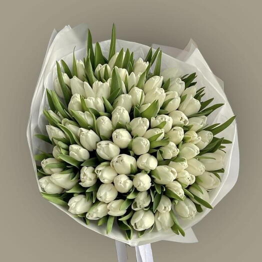 Тюльпановый бум