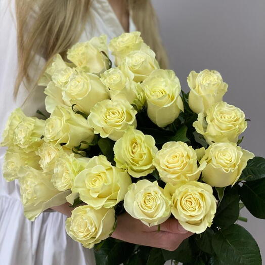 Моно из 25 белых роз