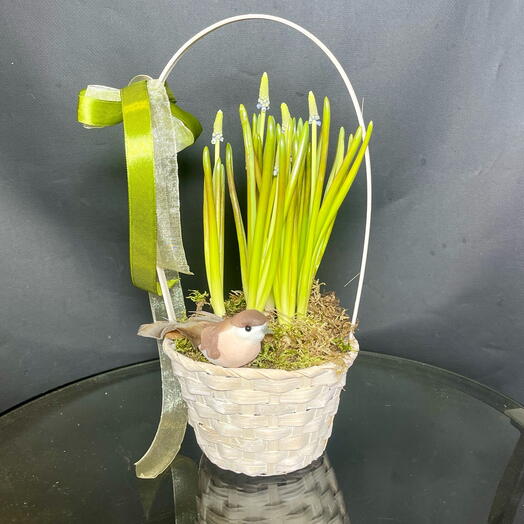 Нежные мускари в корзиночке с птичкой. Весенний привет