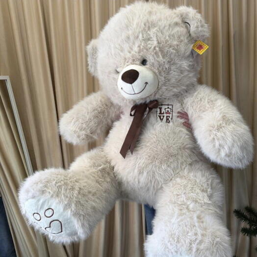 Большой медведь 🐻 😍