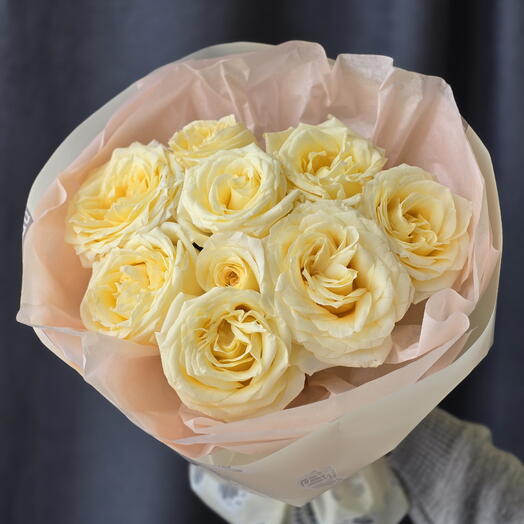 Кенди лайт, 9 шт