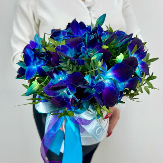 Orquídea espacial en Caja de regalo 🤍 Camelia Flowers Shop