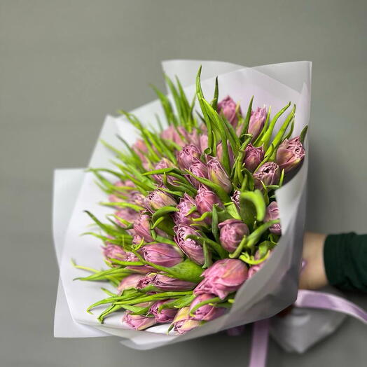 Тюльпаны сиреневые 💜 51 шт