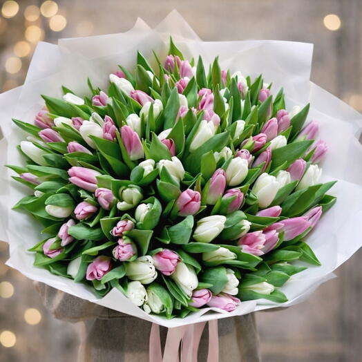 Шикарный букет 101 тюльпан, белые и розовые