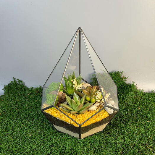 Florarium Safari Succulents