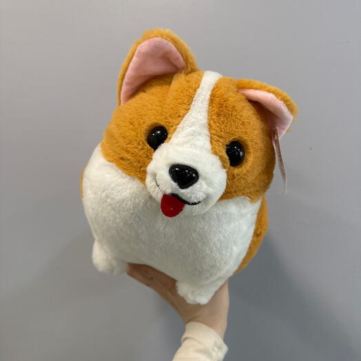 Корги