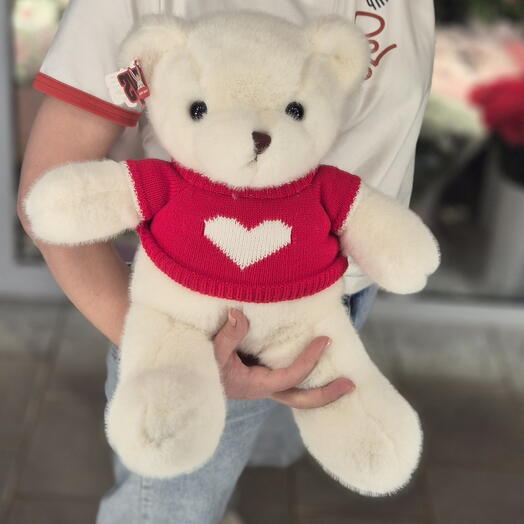 Мишка в свитере 🧸