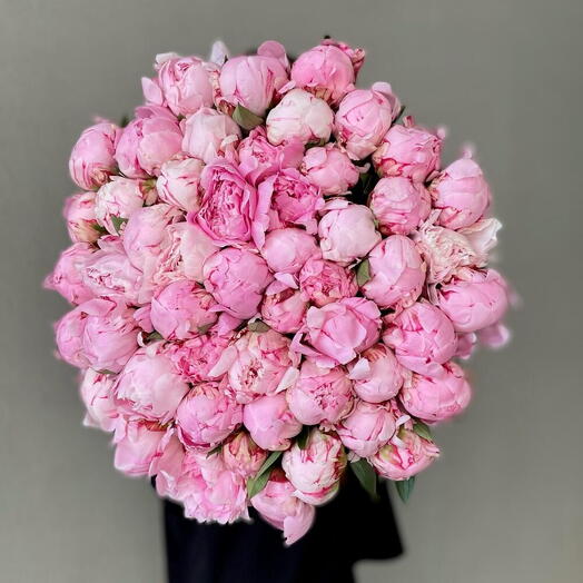 🩷🩷🩷Букет пионов сорта Sarah Bernhardt 51шт